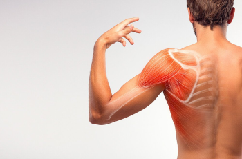 Shoulder Pain When Raising The Arm | Causes & Remedies