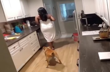 The owner captured a shocking video of a housekeeper who had no idea she was being filmed.